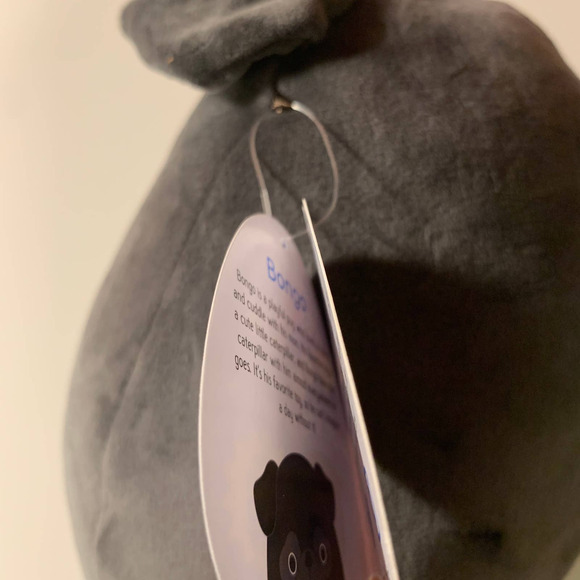 Squishmallow Bongo Bulldog Pug Dog 8" Plush Stuffed Animal Black Five Below Soft - Picture 4 of 5